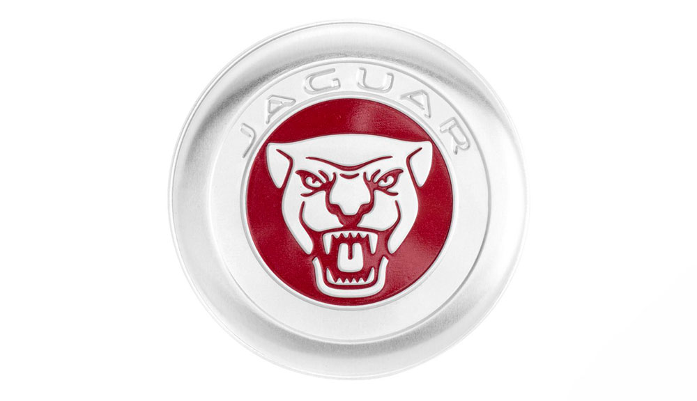 Shop Jaguar Growler Paperclips And Tin in UAE